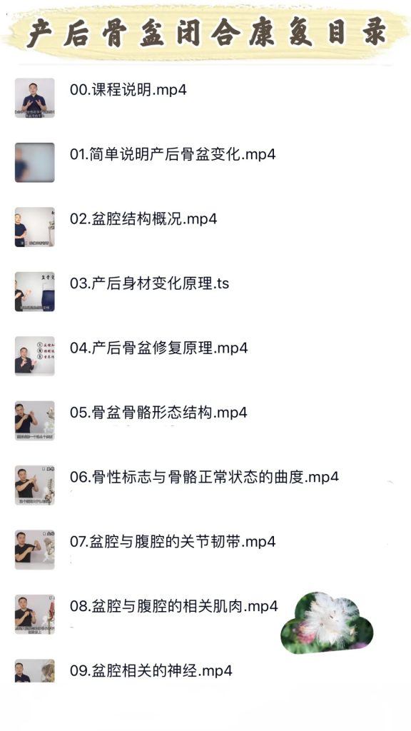 图片[2]-罗飞行产后骨盆修复手法高清视频教程【百度网盘下载】