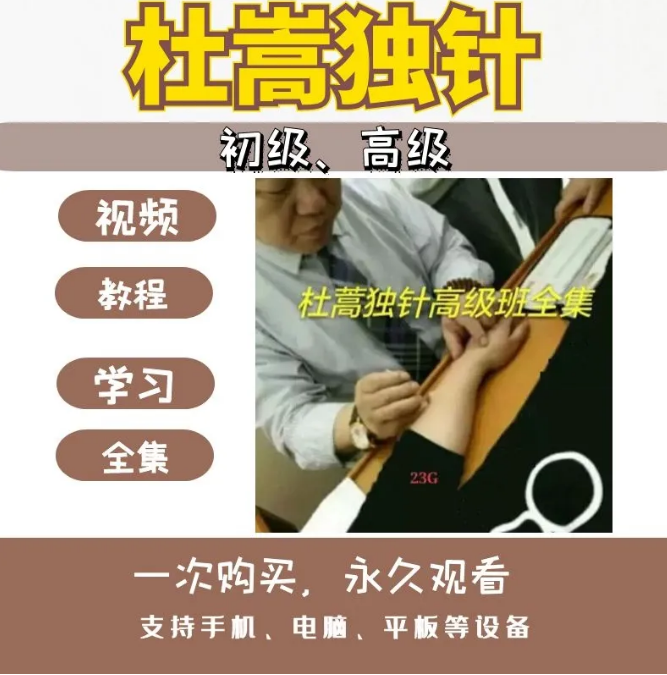 杜嵩独针初级高级班中医学习针灸视频教程【百度网盘下载】