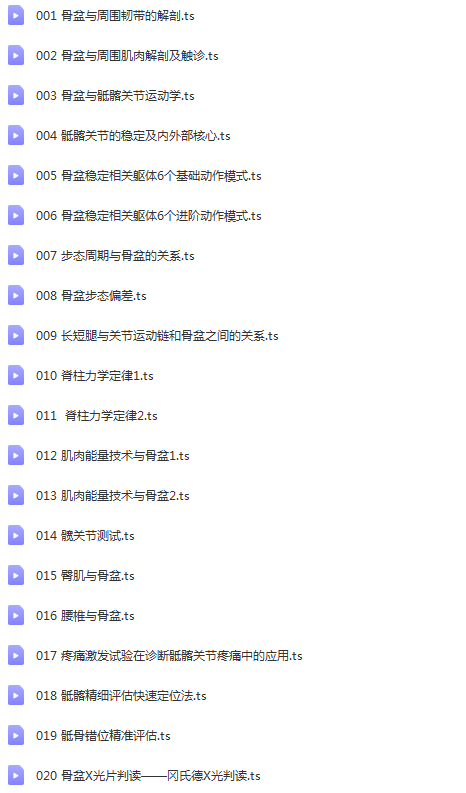 图片[2]-朱国苗骨盆与骶髂关节功能23节骨盆解剖与矫正产后修复高清视频教程【百度网盘下载】