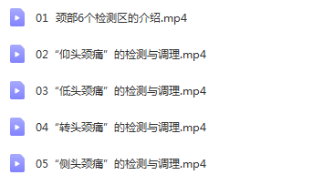 图片[6]-赵鹏飞筋骨同调动态平衡祛痛术视频教程【百度网盘下载】
