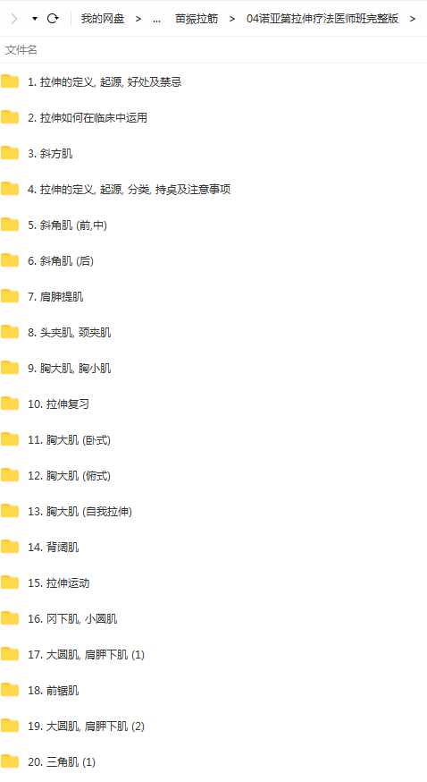 图片[4]-苗振诺亚第拉伸疗法医师专修班全集视频教程【百度网盘下载】