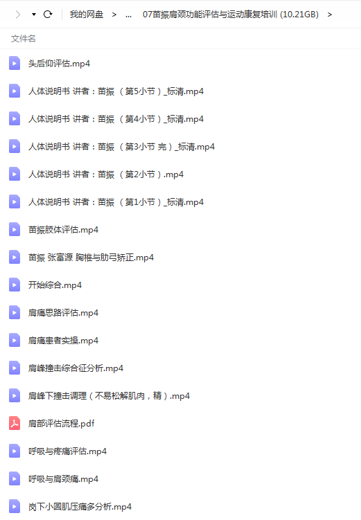 图片[7]-苗振诺亚第拉伸疗法医师专修班全集视频教程【百度网盘下载】