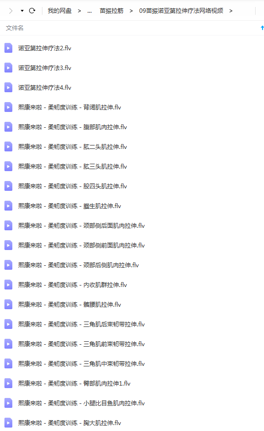 图片[9]-苗振诺亚第拉伸疗法医师专修班全集视频教程【百度网盘下载】