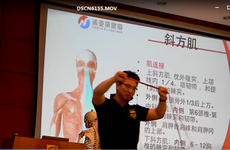 图片[12]-苗振诺亚第拉伸疗法医师专修班全集视频教程【百度网盘下载】
