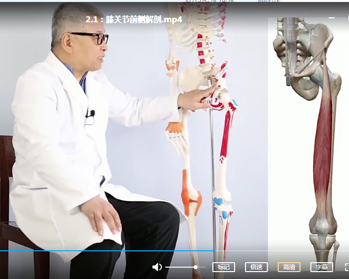 图片[1]-李建民华人一手软组织手法解决顽固膝痛高清视频教程【百度网盘下载】