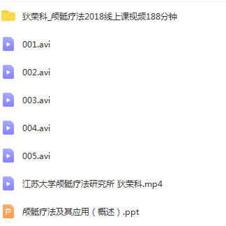 图片[5]-狄荣科温谱成颅骶疗法理论实操调整颅骨技术视频教程【百度网盘下载】