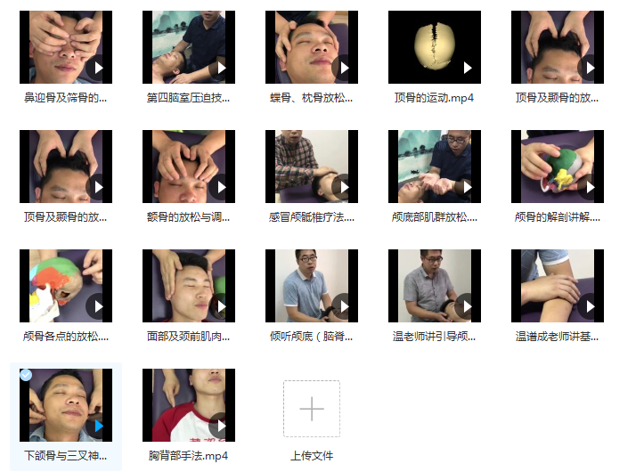 图片[7]-狄荣科温谱成颅骶疗法理论实操调整颅骨技术视频教程【百度网盘下载】