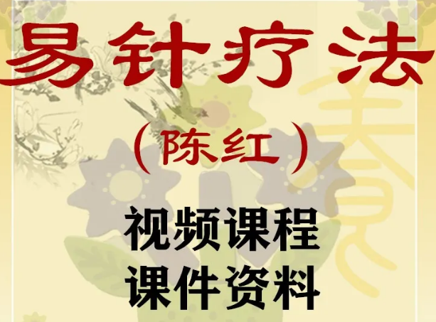 图片[1]-陈红易针疗法培训班中医八卦针法脐针三天培训视频教程【百度网盘下载】