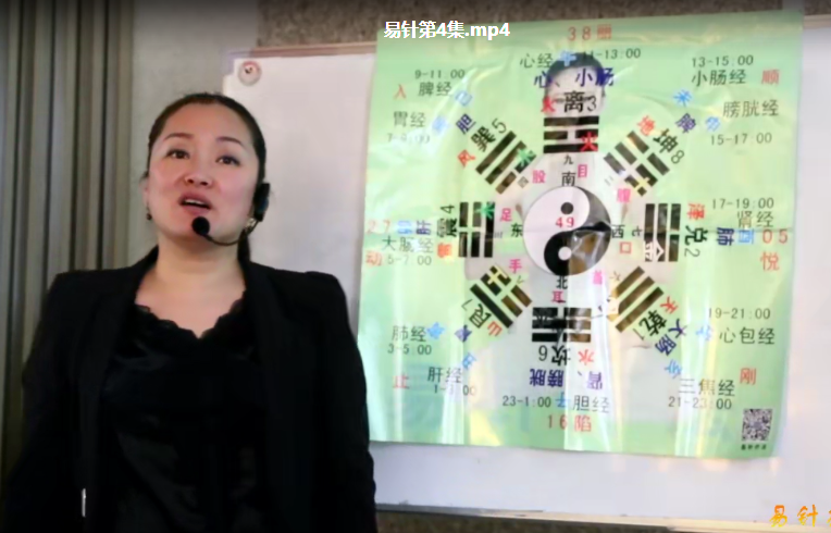 图片[6]-陈红易针疗法培训班中医八卦针法脐针三天培训视频教程【百度网盘下载】