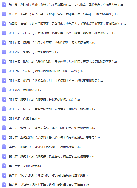 图片[2]-赵建新培元针法最新中医针灸高清视频课程全30集【百度网盘下载】