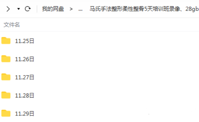 图片[2]-马氏徒手整形面部脊柱骨盆收跨长短腿柔性整骨5天培训班视频教程【百度网盘下载】