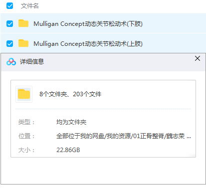 图片[2]-魏志荣动态关节松动术上肢下肢学习班视频教程【百度网盘下载】