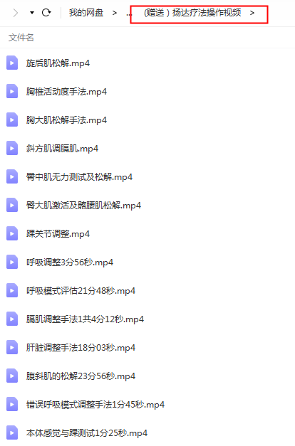 图片[3]-翟天军周围神经之临床应用22讲完整版自学中医视频教程【百度网盘下载】