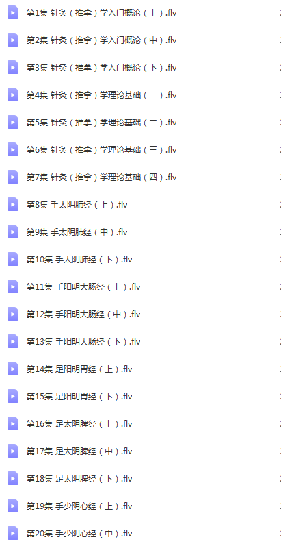 图片[3]-厦门大学张水生针灸推拿学入门41集教学视频-百度云网盘下载学习中医针灸推拿视频教程