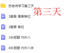图片[5]-苏景峰正骨推拿民间绝活培训5天正骨视频教程【百度网盘下载】