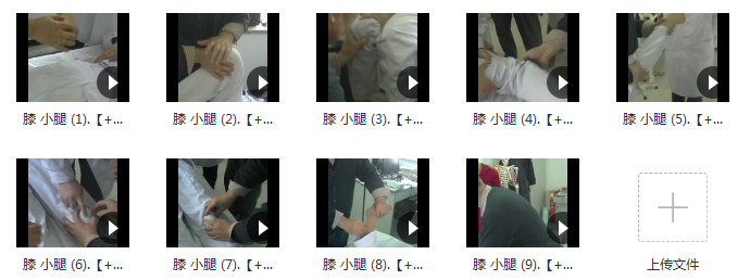 图片[3]-孙氏整脊按摩四肢正骨手法康复关节培训视频教程【百度网盘下载】