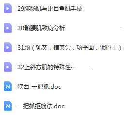 图片[4]-陕西民间王永斌定点神仙一把抓绝技正骨视频教程【百度网盘下载】