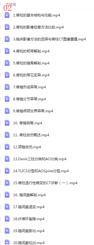 图片[5]-脊柱侧弯训练视频教程施罗特施罗斯脊柱侧弯训练合集三维治疗【百度网盘下载】
