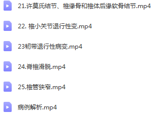图片[6]-脊柱侧弯训练视频教程施罗特施罗斯脊柱侧弯训练合集三维治疗【百度网盘下载】
