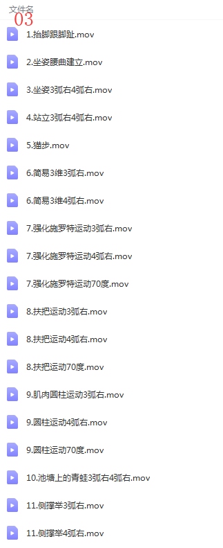 图片[7]-脊柱侧弯训练视频教程施罗特施罗斯脊柱侧弯训练合集三维治疗【百度网盘下载】