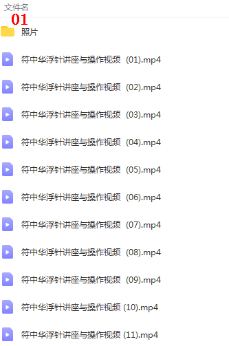 图片[3]-中医浮针全套符仲华浮针疗法针灸视频教程【百度网盘下载】