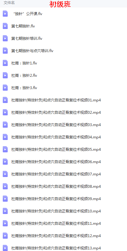 图片[3]-杜嵩独针初级班中级班高级班研修班视频教程合集【百度网盘下载】