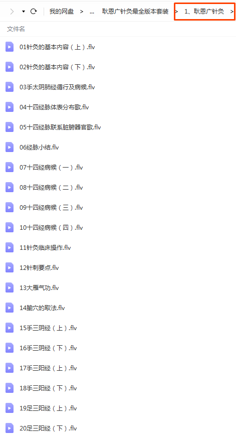 图片[3]-耿恩广最全针灸取穴课程中医针灸视频教程-百度网盘下载