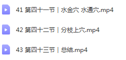 图片[11]-【董氏奇穴针灸内部资料最全高清视频教程】左常波邱雅昌杨维杰刘红云刘凤江周志军十多位老师教学资料-百度网盘下载