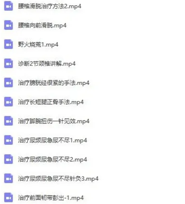 图片[14]-李茂发达摩治病一病一方达摩通脉正骨108手全集中医正骨视频教程【百度网盘下载】