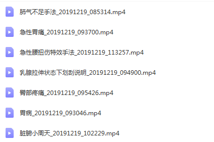 图片[7]-2021肖老师松筋整骨平衡术肌肉拉伸手法中医视频教程全集【百度网盘下载】
