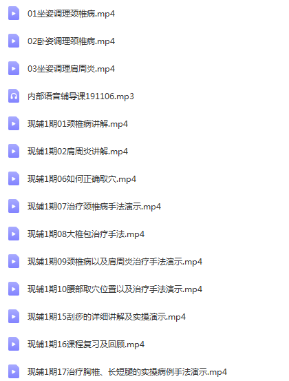 图片[2]-张志良张氏点穴手法中医正骨视频教程【百度网盘下载】