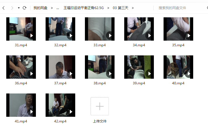 图片[5]-王福印软性正骨运动平衡复位法柔性正骨传承班5天视频教程【百度网盘下载】