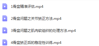 图片[2]-洋子老师360度骨盆修复视频教程康复理疗精准评估纠正稳定性训练【百度网盘下载】