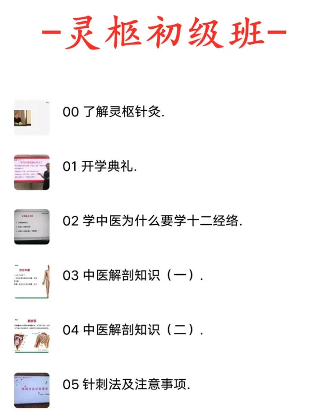 图片[2]-针灸入门学习课程-灵枢针灸初级和精品班培训中医针灸视频教程【百度网盘下载】