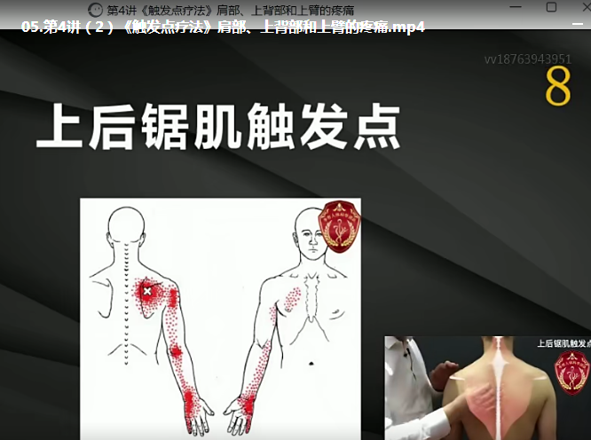 图片[5]-李哲触发点疗法视频教程筋膜松解肌筋膜疼痛精品课程【百度网盘下载】