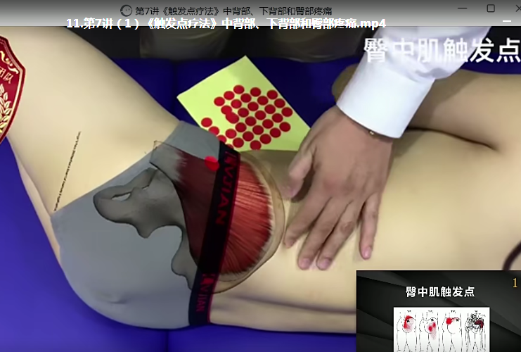 图片[6]-李哲触发点疗法视频教程筋膜松解肌筋膜疼痛精品课程【百度网盘下载】