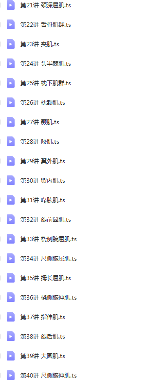 图片[3]-郑大解剖学徐高磊2020新课 厚积薄发100讲详细讲解肌肉功能视频教程【百度网盘下载】