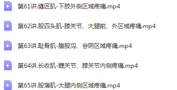 图片[5]-郑大解剖学徐高磊2020新课 厚积薄发100讲详细讲解肌肉功能视频教程【百度网盘下载】