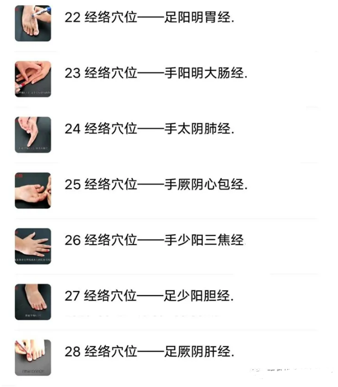 图片[5]-针灸入门学习课程-灵枢针灸初级和精品班培训中医针灸视频教程【百度网盘下载】