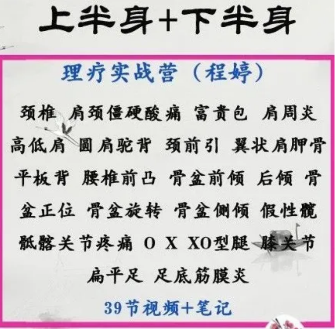 图片[1]-程婷全身二十三种问题理疗实战营富贵包圆肩驼背骨盆39节高清视频教程【百度网盘下载】
