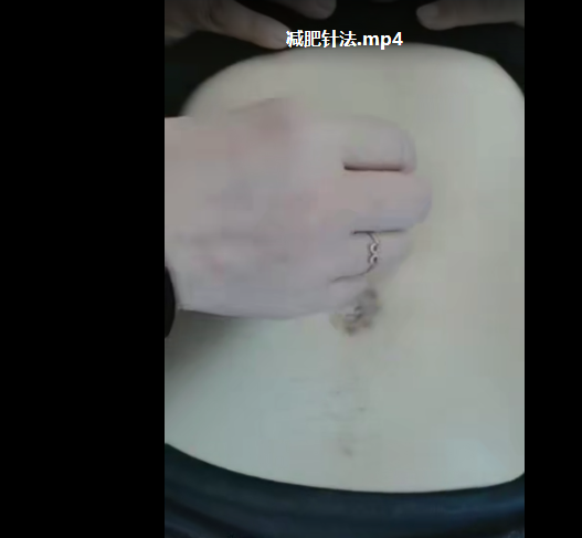 图片[8]-2020陈红十八项绝技针灸美容减肥美白祛皱脏腑玄通术培训视频教程【百度网盘下载】