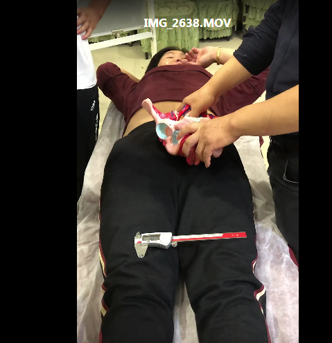 图片[3]-郁延文68项绝技中医手法龙根术凤根术实操高清视频教程【百度网盘下载】