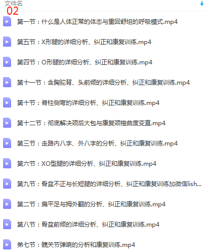 图片[4]-【李明威系列课程完整版】运动康复骨盆脊柱侧弯3D拉伸呼吸整脊正骨视频教程【百度网盘下载】
