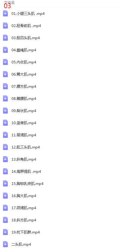 图片[5]-【李明威系列课程完整版】运动康复骨盆脊柱侧弯3D拉伸呼吸整脊正骨视频教程【百度网盘下载】