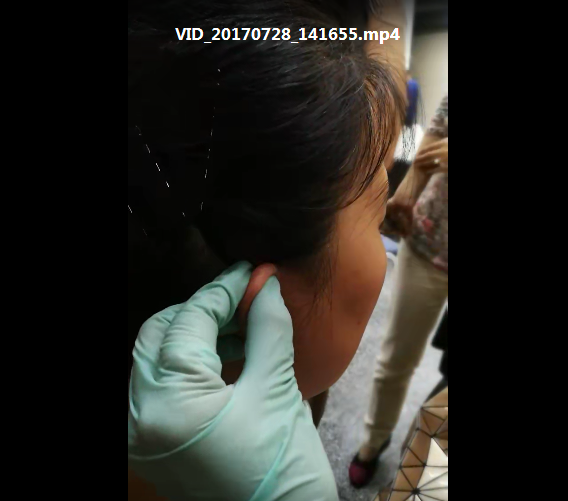 图片[3]-黄丽春耳医学耳穴培训班实操视频加讲义中医视频教程【百度网盘下载】