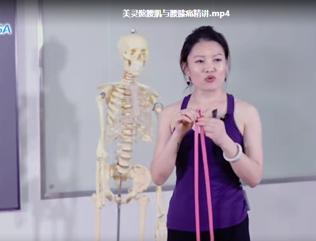 图片[11]-【张美玲8套视频教程合集】内脏筋膜手法-假胯宽-弹响髋-肋骨外翻-功能解剖-腰痛等【百度网盘下载】