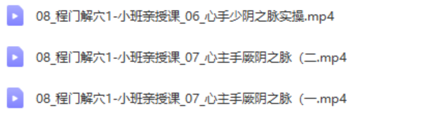 图片[6]-程氏针灸程门解穴精品小班培训全程视频教程【百度网盘下载】