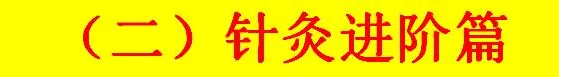 图片[9]-针灸系统学习视频教程零基础学针灸从入门到进阶全套视频【百度网盘下载】