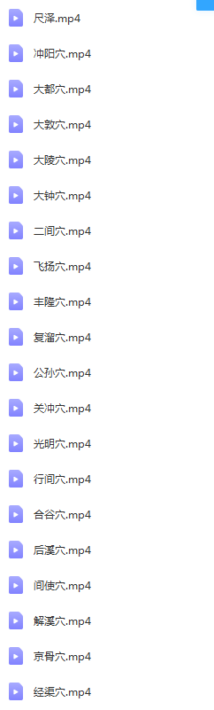 图片[13]-针灸系统学习视频教程零基础学针灸从入门到进阶全套视频【百度网盘下载】