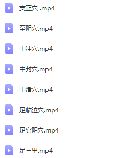 图片[17]-针灸系统学习视频教程零基础学针灸从入门到进阶全套视频【百度网盘下载】